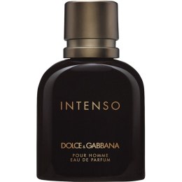 Intenso Pour Homme woda perfumowana spray 125ml Test_er Dolce & Gabbana
